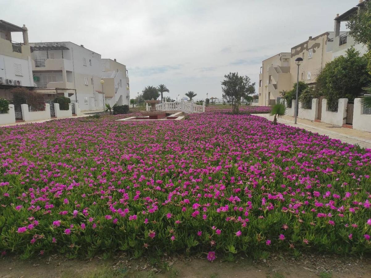 Vera Mediterraneo 390 Playas de Vera Dış mekan fotoğraf